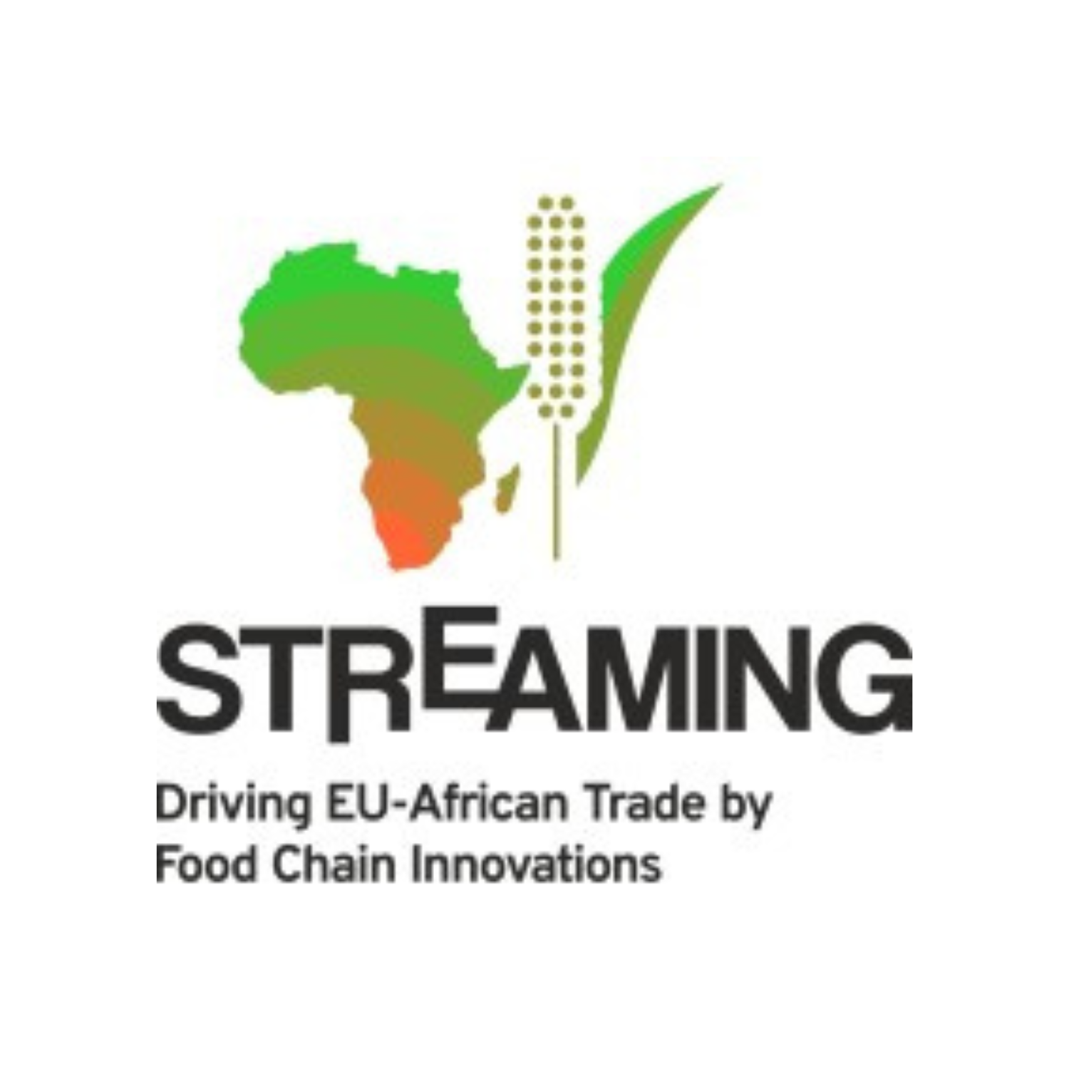 Streaming Logo (2) Image